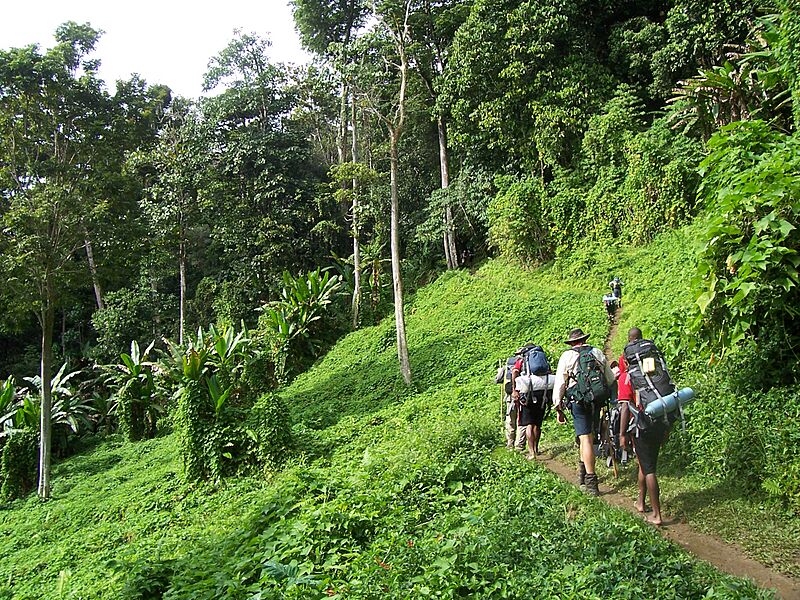 Kokoda track Papua New Guinea