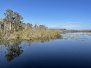 Lake Deaton Calm Surface