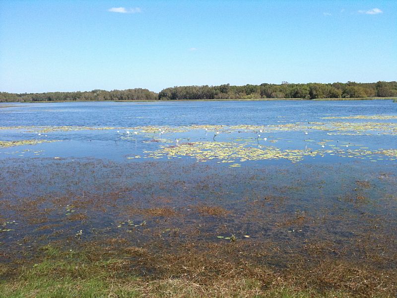Lakefield National Park