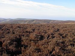 Long Mynd, Shropshire (seen from Pole Bank)
