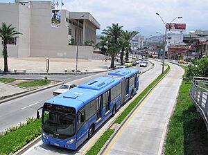 MIO CALI COLOMBIA