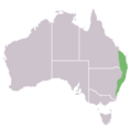 Malurus lamberti distribution map