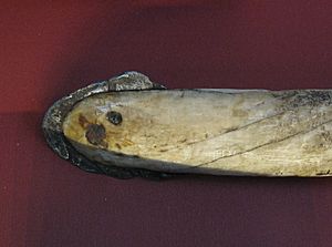 Meteorite iron harpoon