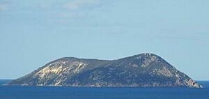 Michaelmas island 2