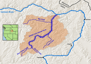 Middle Fork Salmon River Watershed.png