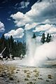 MinuteGeyser-Alcorn1948