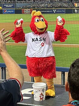 Nashville Sounds mascot Booster 3