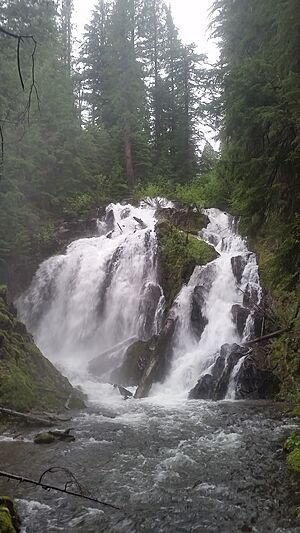 National Creek Falls, Douglas Co, OR.jpg