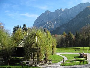 Nationalpark Gesaeuse 7516