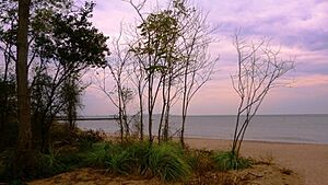 New Dorp Beach, October 2012, on the site of the old Clearwater Beach Colony that was torn down around 1965- 2013-09-24 01-14