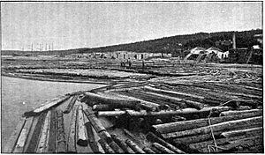 timber works in 1908