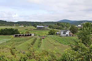 Old Fields, West Virginia 2020.jpg