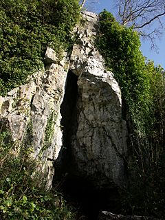Limestone outcrop with triangular fissure (widest at the bottom, narrowing to the top). Foliage obscures the stone at either side, away from the cave entrance. Leafless trees stand at the top of the gorge. Foliage is outside the cave, in the foreground