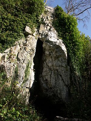 Parc le Breos, Gwyr yr ogof cathole