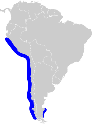 Phalacrocorax gaimardi map.svg