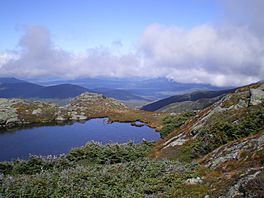 Pond at Lakes of the Clouds.JPG