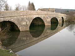 Pont sur l'Ain à Pont-du-Navoy (39)
