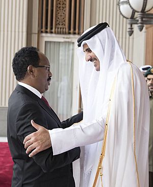President Farmajo and Emir of Qatar