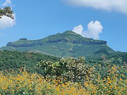 Purandar Fort - AB.jpg