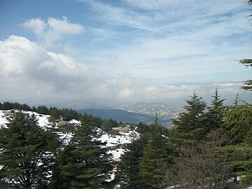 Réserve naturelle du Chouf neige 04