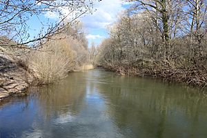 Río Jarama. 02. March 2018 by Asqueladd