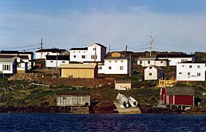 Redbay001