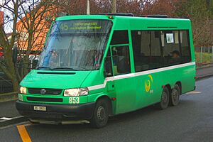 Riehen-Quartierbus