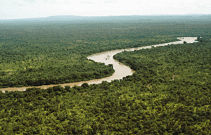 River gambia Niokolokoba National Park