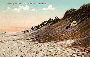 Sand Dunes, Plum Island, MA