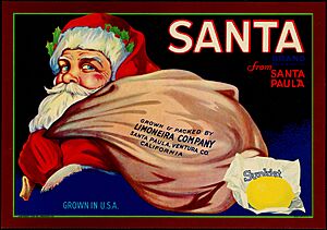 Santa Claus - Sunkist Ad (1928)