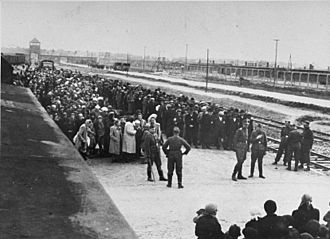 Selection on the ramp at Auschwitz II-Birkenau, 1944 (Auschwitz Album) 3a