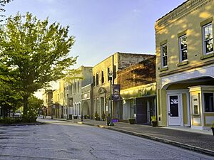Shops in downtown Toccoa, Georgia, US 01