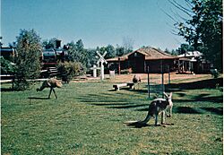 Swan Hill Pioneer Settlement GSV 1.jpg
