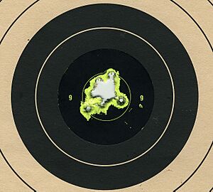 Target 223 Savage 10FP 25 shot