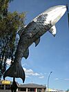 Taupo Monster Trout - panoramio.jpg