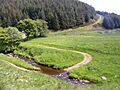 The ford at Fairhaugh - geograph.org.uk - 463792