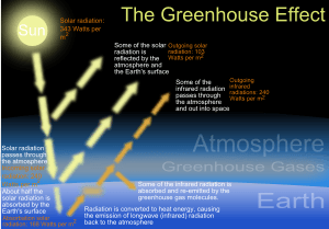 The green house effect