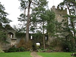 Tower and ruined wall, Grey's Court