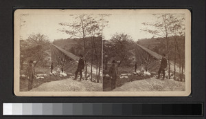 View looking south on the Trestle Bridge, at East Tarry Town, N.Y. on the New York, Boston & Montreal Railway (NYPL b12535563-G91F098 006F)f