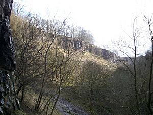 View of Deep Dale from Thirst House cave - geograph.org.uk - 723850