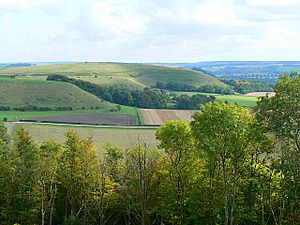 View south-east from Battlesbury Hill, near Warminster - geograph.org.uk - 962175.jpg