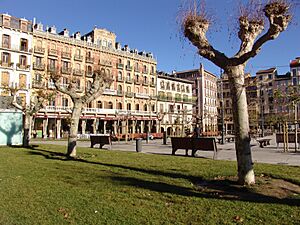 Vista Plaza del Castillo Pamplona