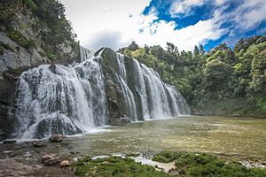 Photoraph of Waihi Falls