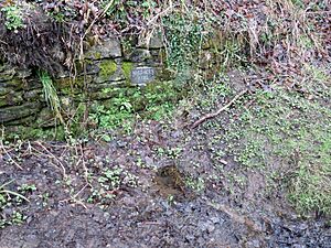 Wallace's Heel Well, River Ayr, Scotland
