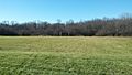 Webster Park field