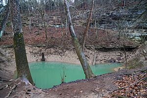 Wesley Chapel Gulf (27407485585)