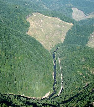 Williams River, tributary to South Fork Coos River.jpg