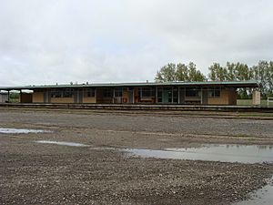 Woodville railway station 04