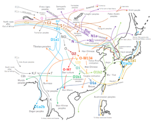 Y-DNA haplogroup migration map in East Asia