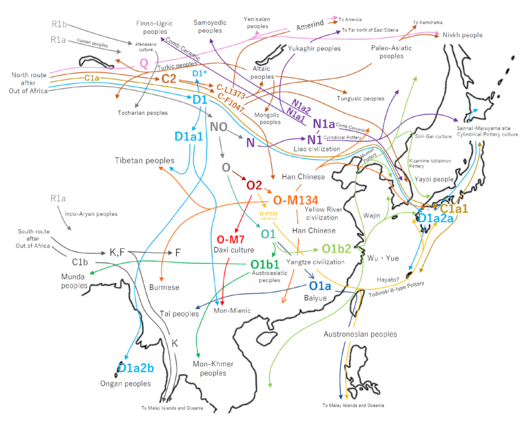 Y-DNA haplogroup migration map in East Asia